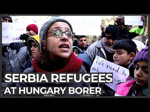 Refugees, migrants in Serbia attempt to cross Hungary's border