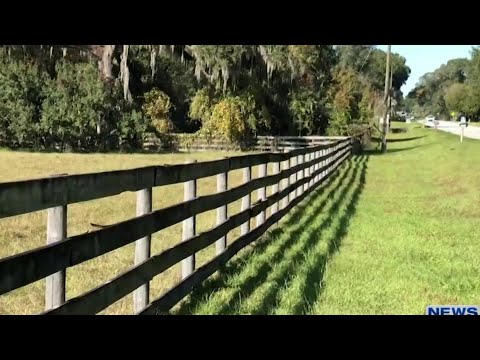 Reward offered after horses slaughtered in Florida
