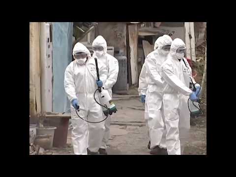 Seoul mobilizes troops and military equipment to respond to coronavirus outbreak | ABC News