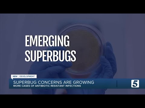 Superbug concerns growing amid COVID-19 pandemic