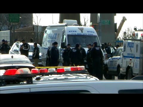Suspect in custody after 2 NYPD officers shot