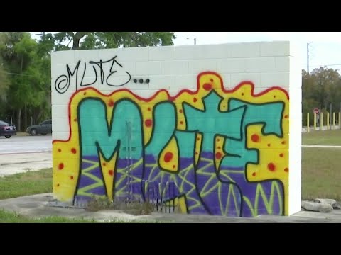 Who is the Leesburg graffiti artist known as Mute?