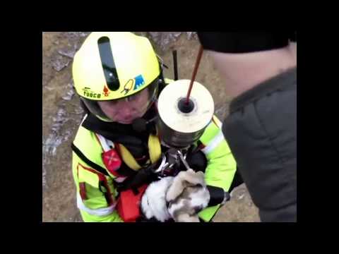 Woman and dog rescued via helicopter from mountain near Lake Como | ABC News